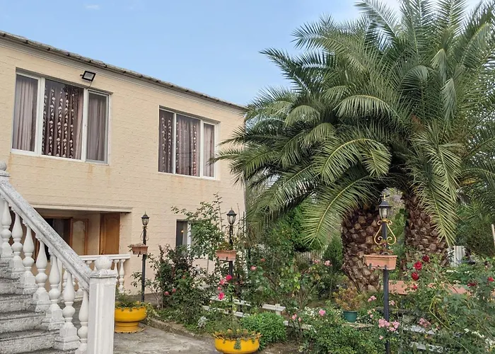 House - Kutaisi International Airport 15 Minutes, Samtredia Kulashi 15Tamar Mepe Street