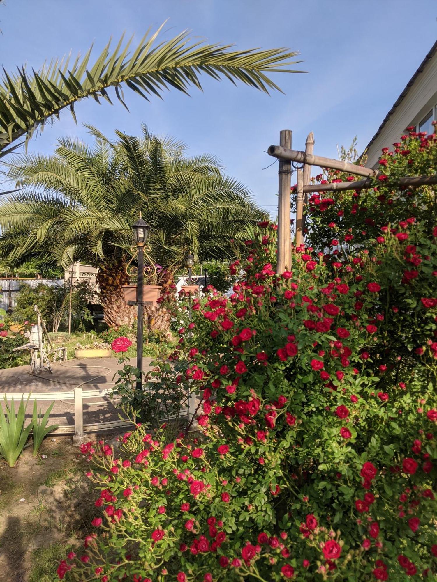 House - Kutaisi International Airport 15 Minutes, Kulashi 15tamar Mepe Street Holiday home Samtredia